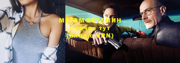 индика Богородск