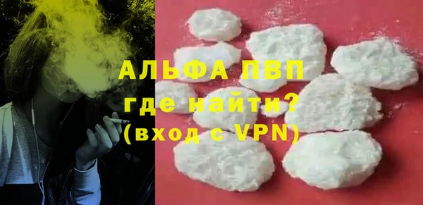 спайс Богданович
