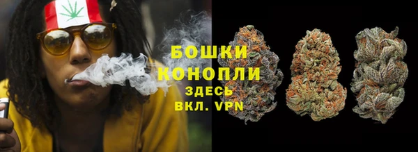 индика Богородск