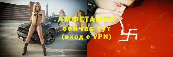 ECSTASY Богородицк