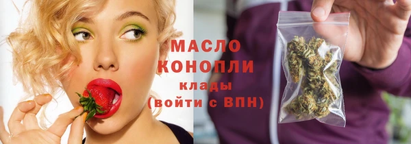 индика Богородск