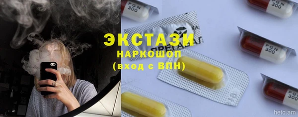 индика Богородск