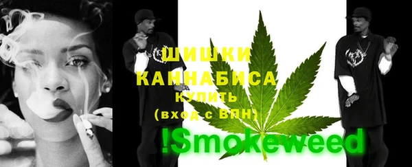 спайс Богданович