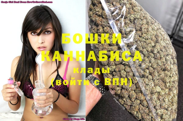 индика Богородск