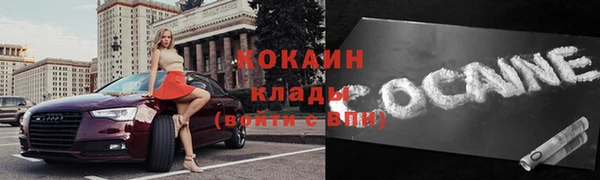 спайс Богданович