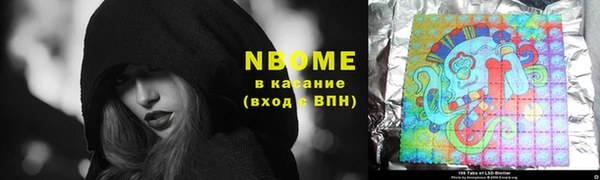 индика Богородск