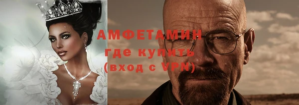 индика Богородск