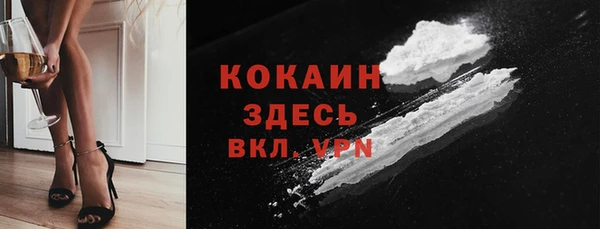 индика Богородск