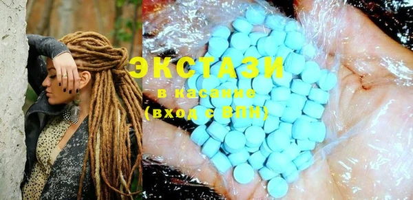 ECSTASY Богородицк