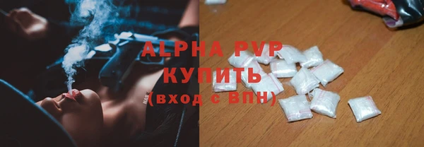 ECSTASY Богородицк