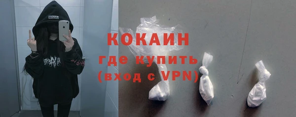 индика Богородск