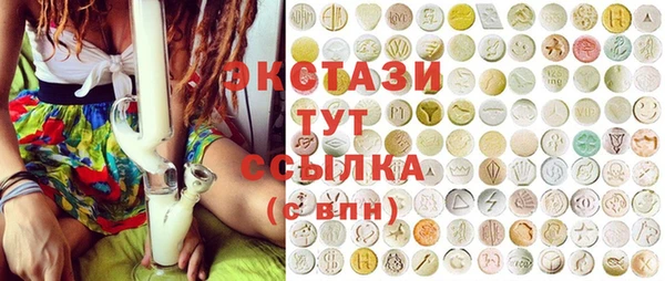 индика Богородск