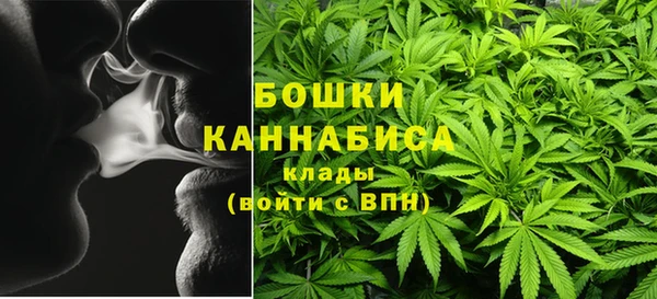 спайс Богданович