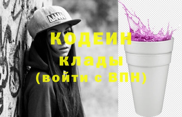 индика Богородск