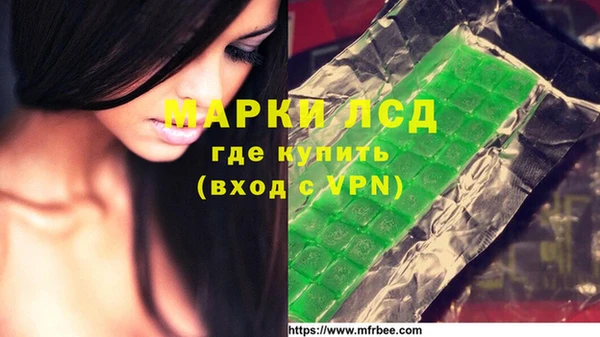 индика Богородск