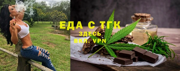 индика Богородск