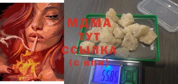 индика Богородск