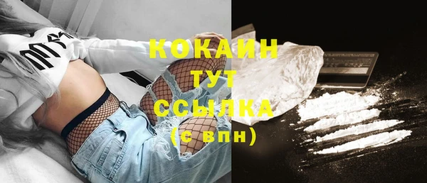 спайс Богданович