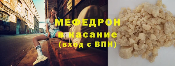 индика Богородск