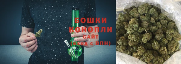 спайс Богданович