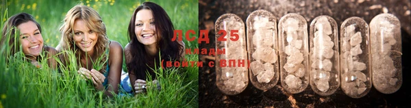 индика Богородск