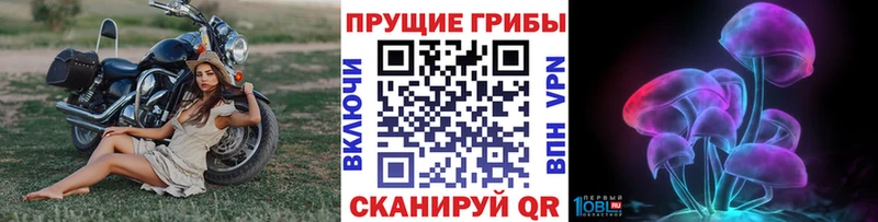 ссылка на мегу как войти наркотики Нурлат Галлюциногенные грибы Cubensis